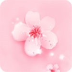 番茄todo社区最新版