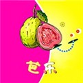 蜜桃视频播放器在线下载