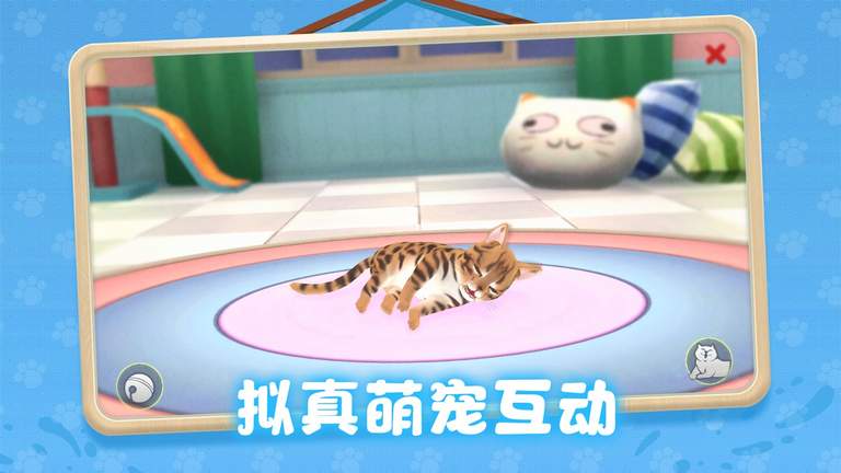 养了个猫0