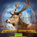 狂野狙击猎人Wild Animal Hunt_logo