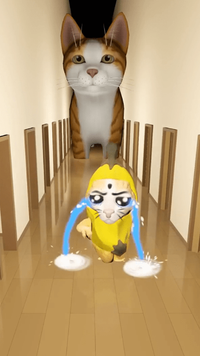香蕉猫大作战1