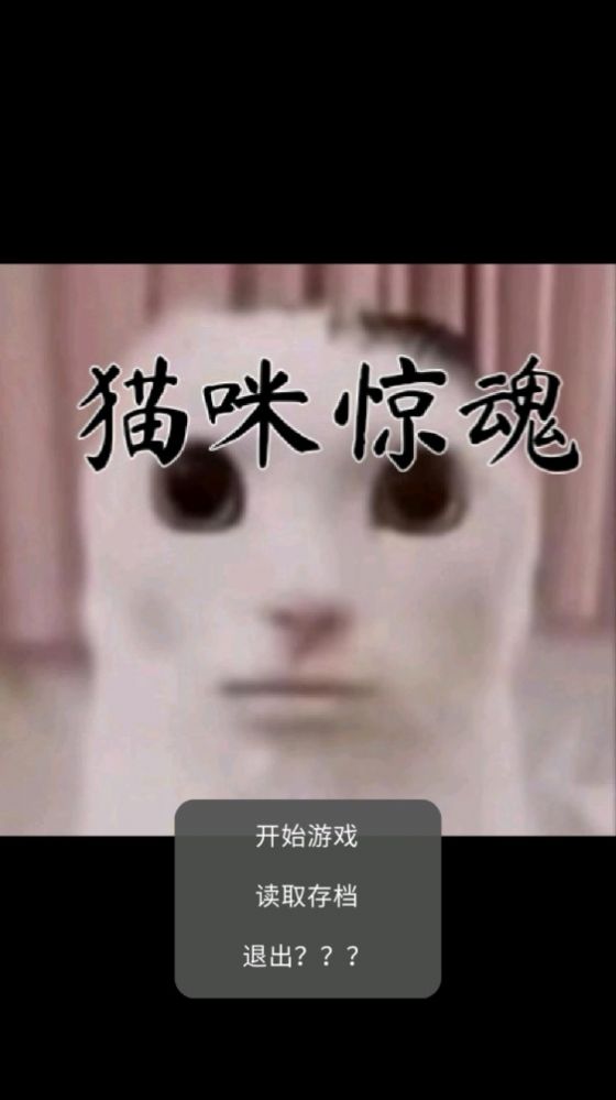 小猫惊魂3
